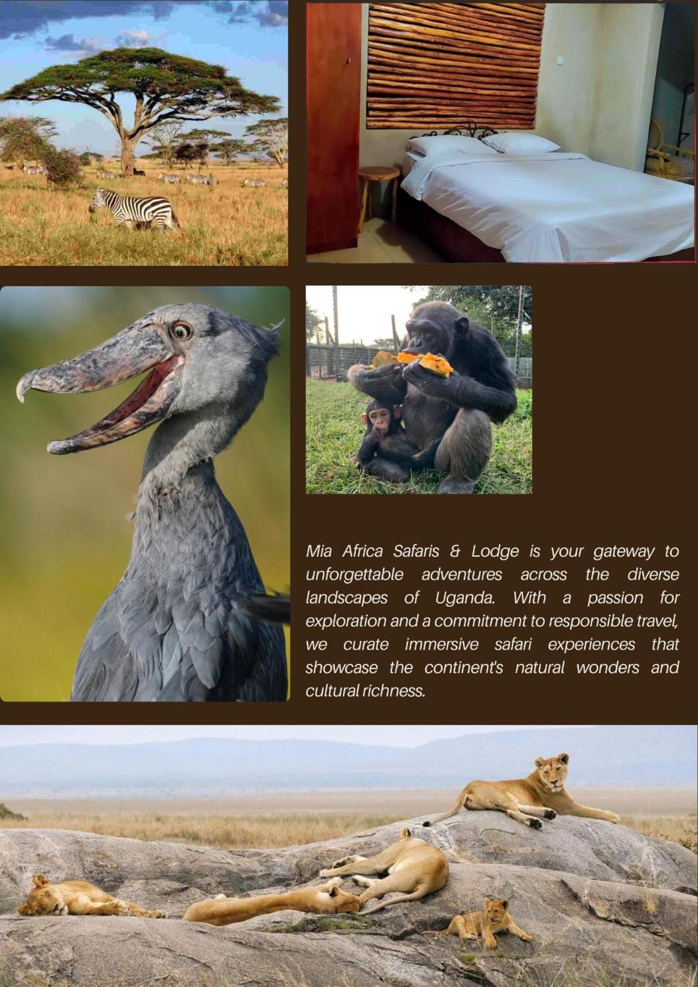 Mia Safari Lodge And Restaurant Ентебе Екстериор снимка